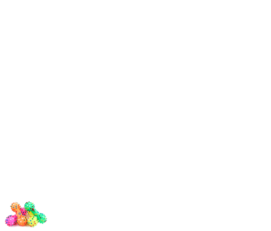 Layer